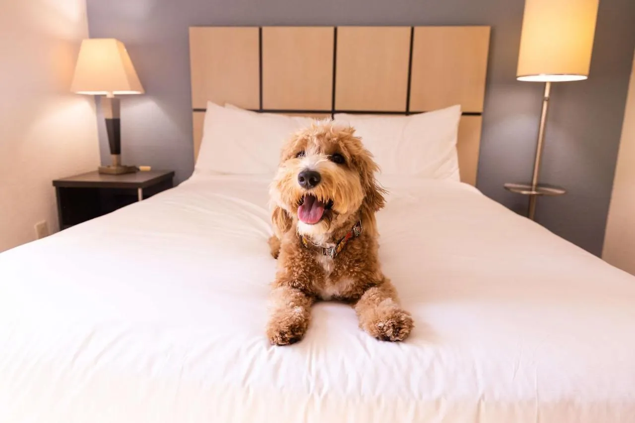 Sonesta Simply Suites Columbus Airport Gahanna 3*,  United States